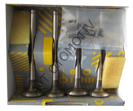 KANGOO F8Q SUBAP TAKIM