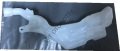 CAM SU FISKIYE DEPOSU MEGANE IV 289103499R, 289106696R, 289109967R